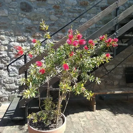 La Luna Nel Pozzo Nocleg ze śniadaniem 3*