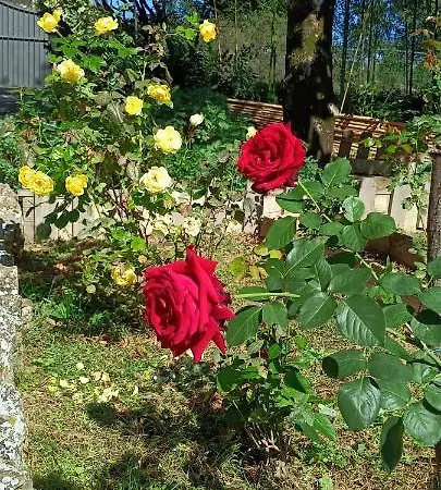 La Luna Nel Pozzo Nocleg ze śniadaniem 3*