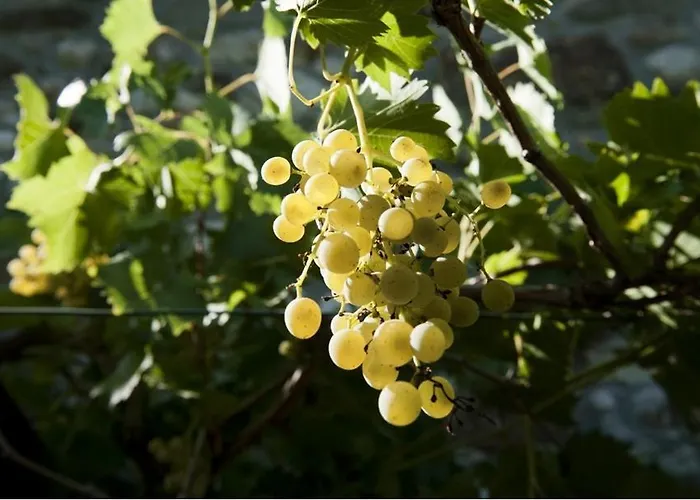 Bed & Breakfast La Luna Nel Pozzo 3*