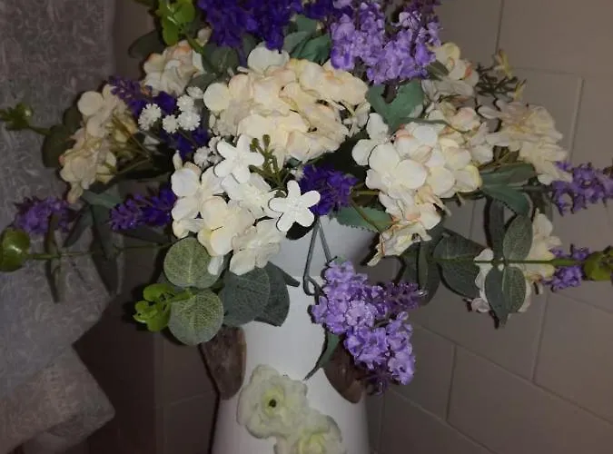 Bed & Breakfast La Luna Nel Pozzo