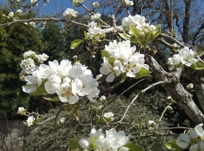 La Luna Nel Pozzo Bed & Breakfast 3*