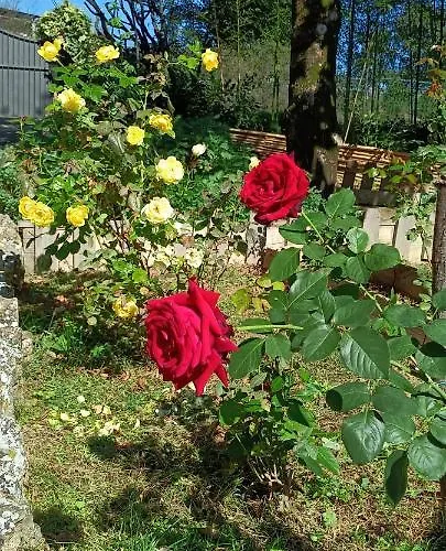 La Luna Nel Pozzo Bed & Breakfast 3*