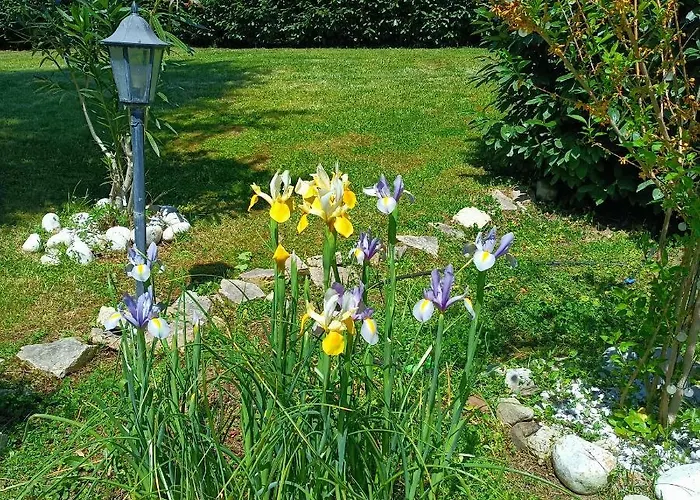 Bed & Breakfast La Luna Nel Pozzo Todi